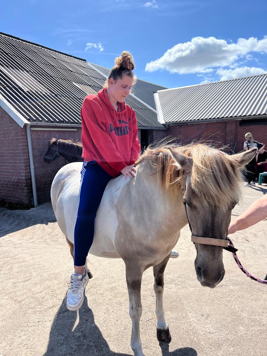 Buitenrit met een paard