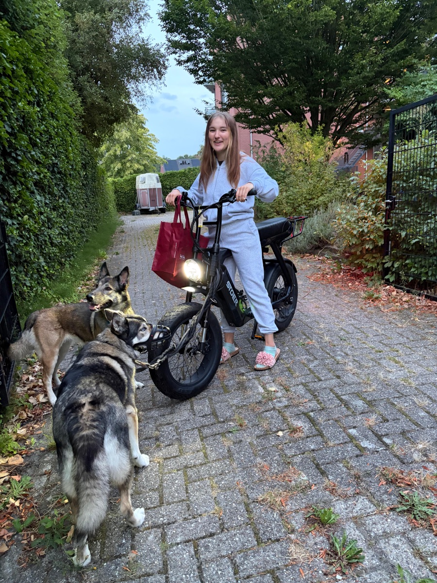 Even naar buiten met de honden
